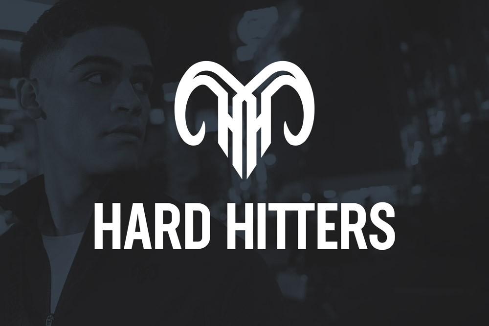 Graphic Design Logo Design Branding Hard Hitters Logo